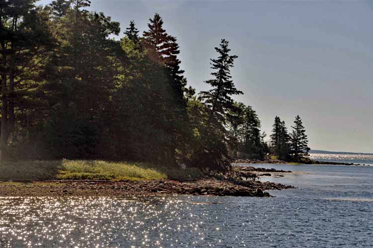 oak island